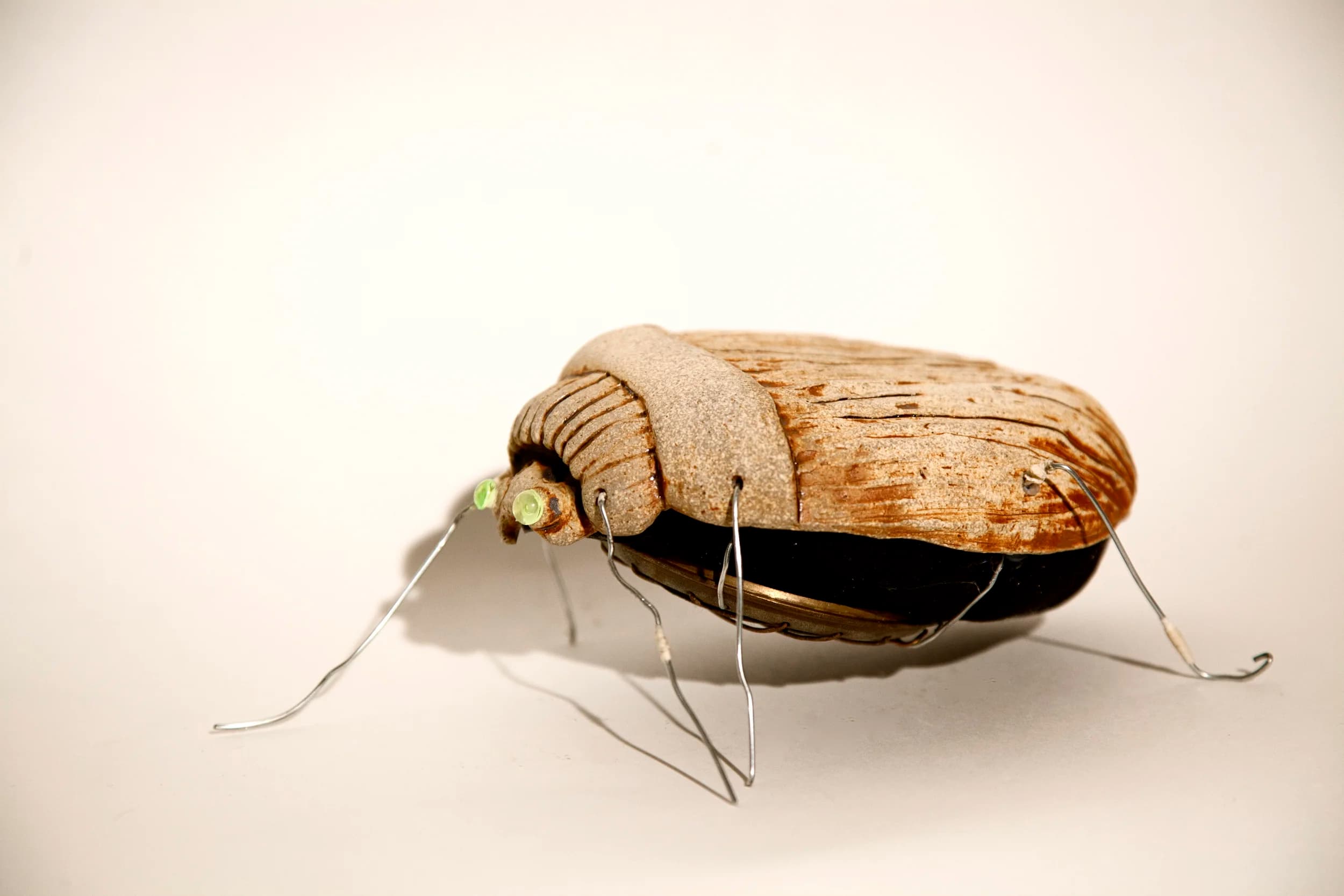 Bug — Ceramic, wire, nylon, metal mason jar lid