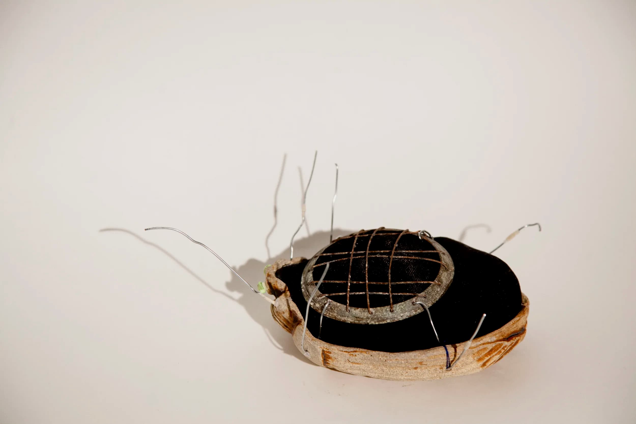 Dead Bug — Ceramic, wire, nylon, metal mason jar lid